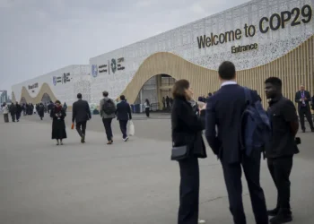 COP29: organizações sociais apontam falhas em regras de financiamento
