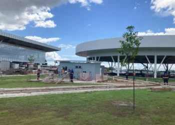 Faltam três meses para a COP30; confira calendário e desafios