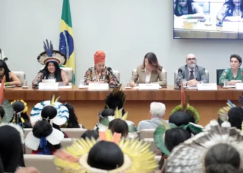 Brasil monitora direitos de indígenas e mulheres em metas da COP30