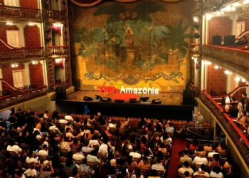 Em ano de COP30, evento em Belém debate restauração da Amazônia
