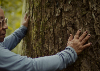 Modelo de negócios da Natura na Amazônia é retratado em série sobre impacto positivo