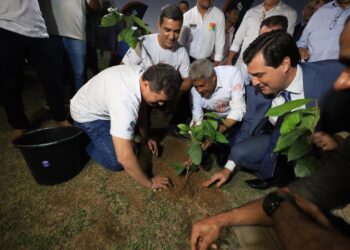 Cacauicultura 4.0 2025 movimenta Barreiras; governador Jerônimo Rodrigues participa da abertura