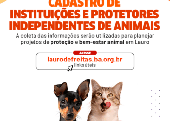 Prefeitura de Lauro de Freitas inicia cadastro de instituições e protetores independentes de animais; saiba mais