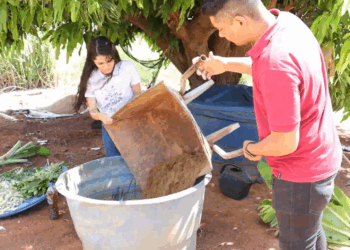 Arborização urbana, adubo orgânico, arquitetura protomoderna e palmilha inteligente no Univerciência deste sábado na TVE