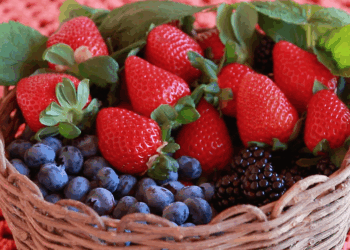 7ª edição do Festival Tempero Bahia vai homenagear o “Terroir” da Chapada Diamantina