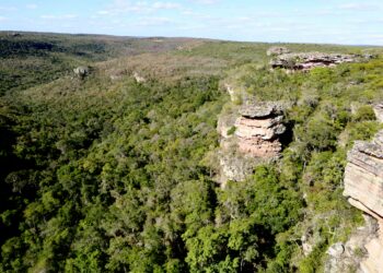 Sema detalha avanços da Reserva da Biosfera da Chapada Diamantina em reunião conjunta do Cepram e Conerh