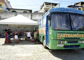 Castramóvel prossegue com castrações gratuitas de cães e gatos em Itapuã e Fazenda Grande do Retiro