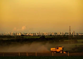 Capitais do agronegócio no Centro-Oeste acumulam problemas sociais