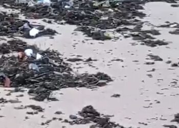 Moradores de Busca Vida fazem ação coletiva para limpeza das praias e combate aos impactos das chuvas