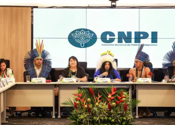 Conselho Nacional de Política Indigenista retoma atividades