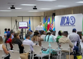 Cooperativismo inclui pequenos produtores no mercado, diz ex-ministro