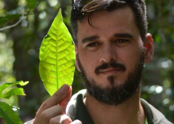 Monitoramento da flora identifica 266 novas espécies em áreas da Bracell na Bahia