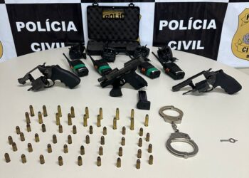 Polícia Civil apreende armas de fogo em ações contra estelionatários