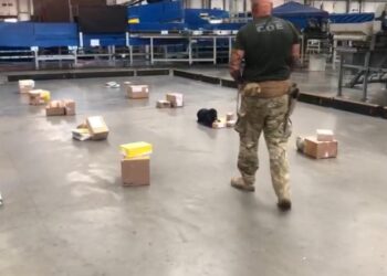 Polícia Civil apreende drogas em 34 encomendas dos Correios
