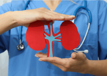 Cerca de 15% da população mundial vive com algum tipo de doença renal