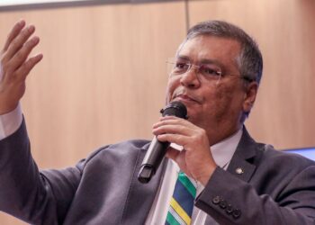Em despedida do Senado, Dino diz que agirá pela harmonia dos poderes