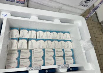 Bahia recebe as primeiras doses da vacina contra dengue