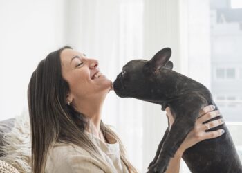 “Lambeijos” dos pets podem ser perigosos à saúde humana?