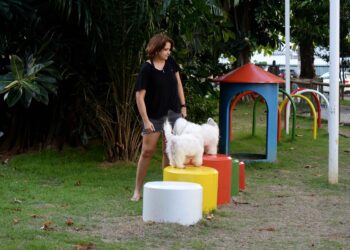 Salvador amplia espaços de lazer exclusivos para pets em praças da cidade