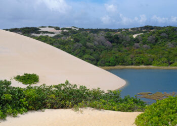 Turismo sustentável: Cinco parques e unidades de conservação que você não pode deixar de conhecer na sua próxima viagem a Natal