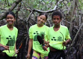 Educação ambiental conecta crianças da Ilha de Itaparica à proteção dos manguezais