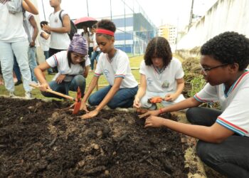 Educação baiana é pioneira na promoção da sustentabilidade