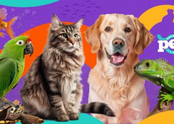 Salvador sediará o maior evento PET do Nordeste do país em 2025