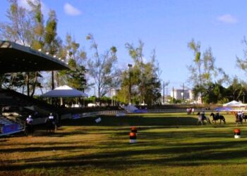 Sema leva à Fenagro experiência educativa sobre a Mata Atlântica e sua preservação