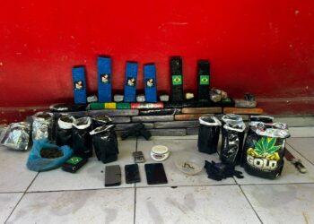 FICCO Bahia e PM desmontam esquema de maconha “indoor” em Itacaré