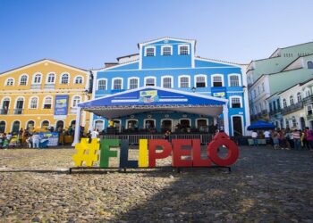 FLIPELÔ 2024 – Espaço das Editoras Universitárias apresenta livros produzidos nas universidades brasileiras