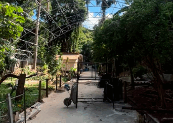 Zoológico de Salvador acelera reformas e se prepara para reabertura em maio