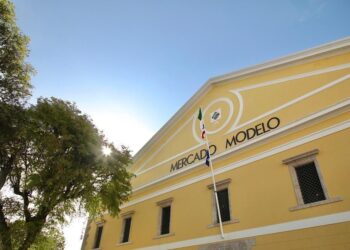 Mercado Modelo recebe festival SSA Mapping especial de Dia das Crianças