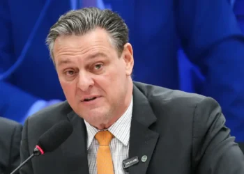 Gripe aviária não deve impactar preço da carne de frango, diz ministro