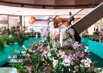                                                              Com reação em janeiro, confiança do empresariado baiano atinge o maior nível dos últimos 15 meses