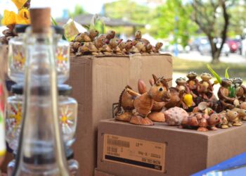 4ª Edição do Circuito de Feira Agroecológica Urbana de Salvador acontece nesta sexta-feira (12)