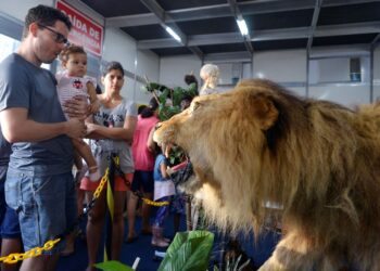 Fenagro 2024 contará com um museu da anatomia animal