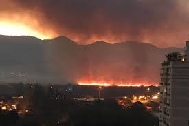 Bombeiros combatem fogo na Floresta da Tijuca por mais de 14 horas