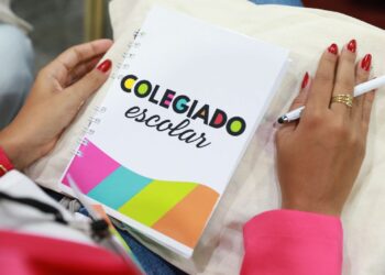 Eleições do Colegiado Escolar começam nesta segunda-feira (7) em todas as escolas da rede estadual