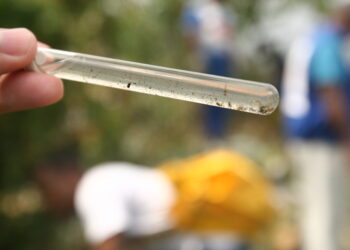 Bahia tem redução de mais ﻿90% nos casos de dengue e Chikungunya