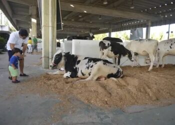 Fenagro 2024 retorna em sua 33ª edição com inovações e grandes atrações para toda família