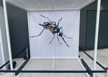 Takeda lança exposição educativa sobre prevenção à dengue em Salvador