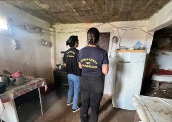 Novas investigações de denúncias de trabalho escravo estão suspensas devido ao descumprimento de acordo do Governo Federal