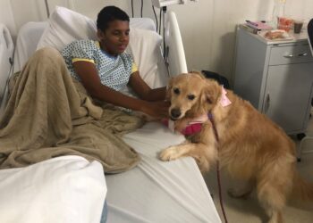 Hospital Ortopédico do Estado implementa Terapia Assistida por Animais para auxiliar no tratamento e recuperação de pacientes