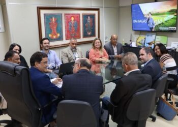 Acordo entre SDE e Bahiagás fortalecerá interiorização da distribuição de gás no Estado