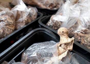 Descoberta arqueológica em Santiago do Iguape revela história milenar do Recôncavo Baiano