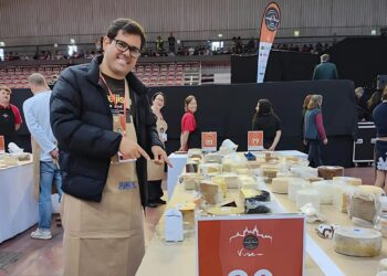 Oxe! É de Minas apresenta os queijos brasileiros premiados mundialmente no World Cheese Awards 2024