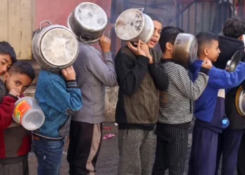 Brasil participa de coalizão para ajudar Gaza e pressionar Israel