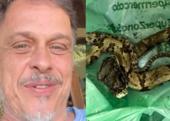 Ator de A Viagem dá entrada em hospital após ser picado por cobra e faz alerta: “São poucos os centros que tratam disso”