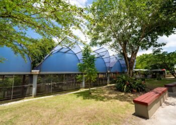 Sedur realiza ação educativa em alusão ao Dia das Florestas e da Água