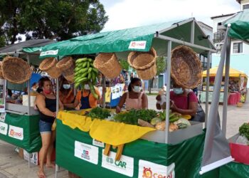 Salvador recebe no dia 09 de novembro a Feira de Agroecologia e Artesanato